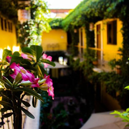 Hotel Dainzu Oaxaca Екстер'єр фото