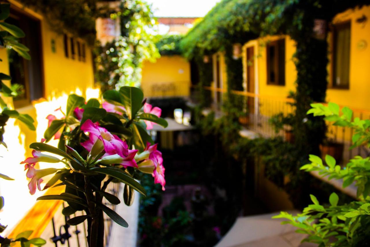 Hotel Dainzu Oaxaca Екстер'єр фото